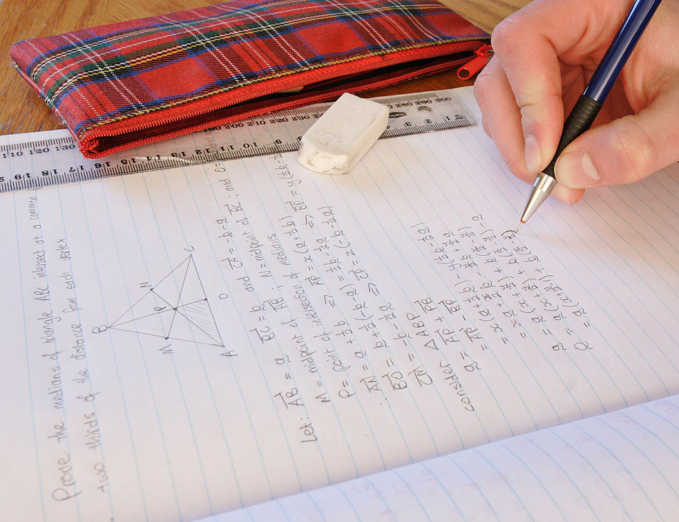 Participare record la consultarea privind temele pentru acasa