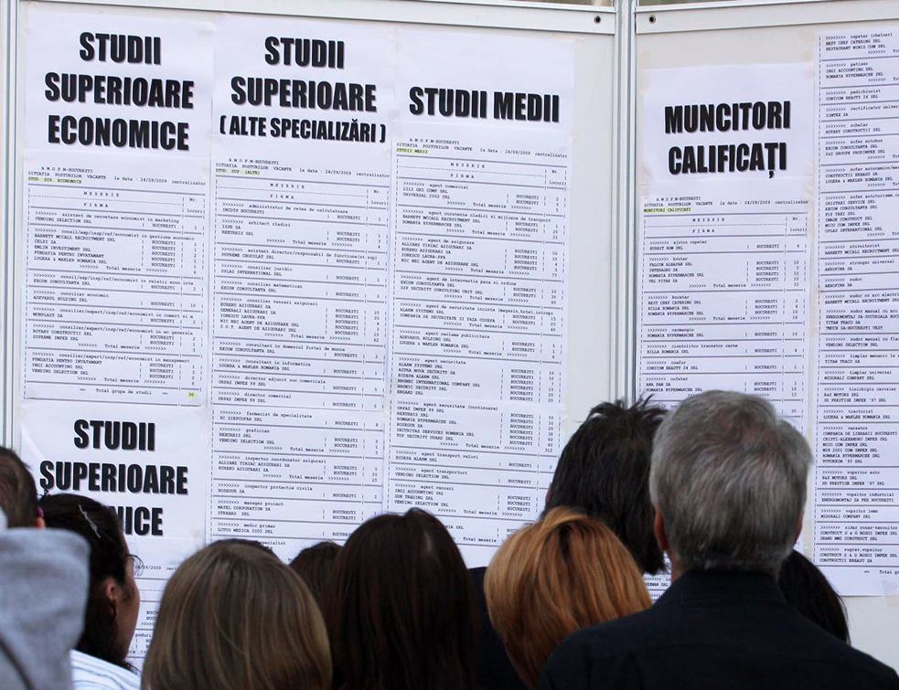 ANOFM: Peste 17.000 de locuri de muncă vacante. 240 în Maramureș