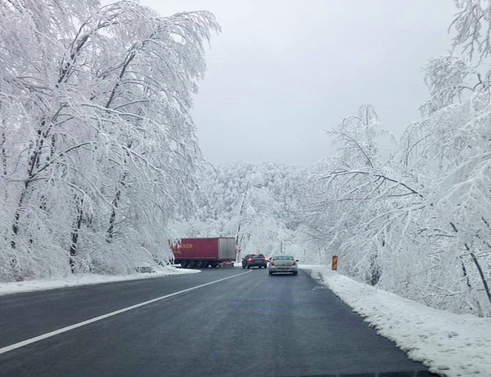 INFOTRAFIC – Vizibilitate redusă în Pasul Prislop și Dealul Hera
