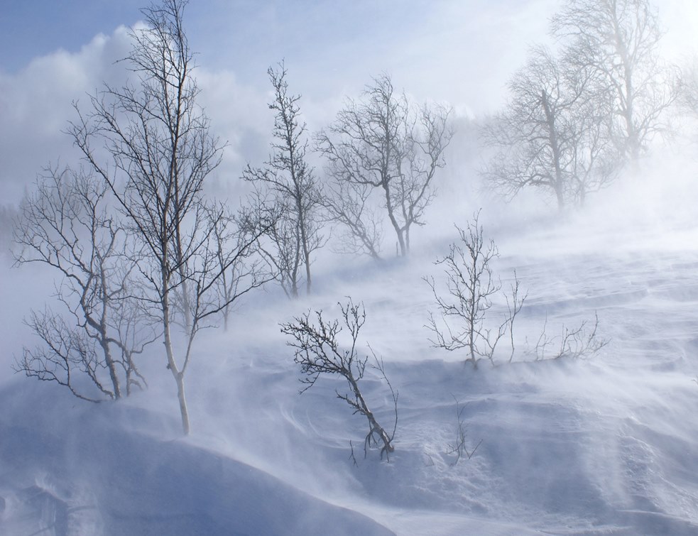 MARAMUREȘ – Cod galben de ploi, vânt și ninsoare