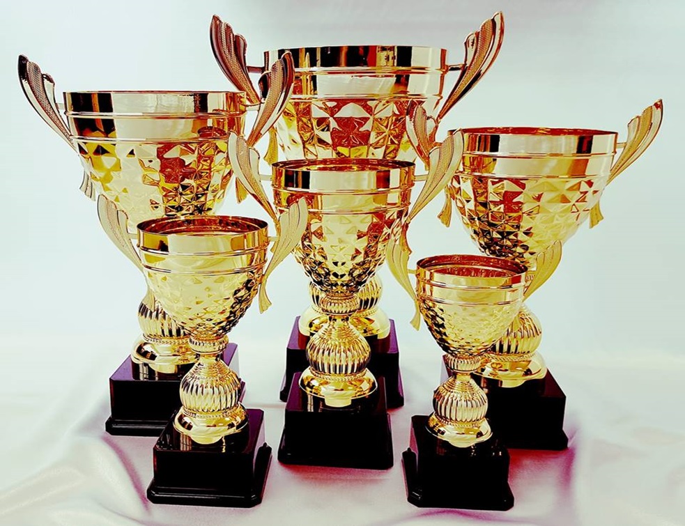 Daiana Ghita, cea mai bună sportivă din Maramureș în 2017