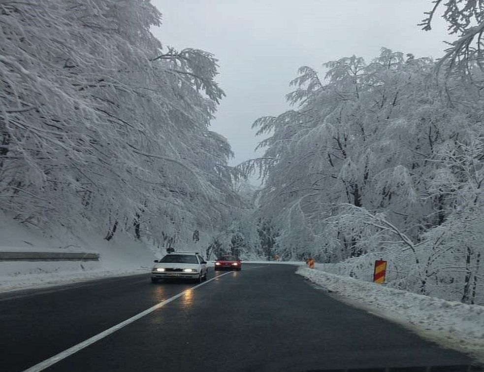 Atenție șoferi, vizibilitate redusă de ceață în Pasul Prislop!