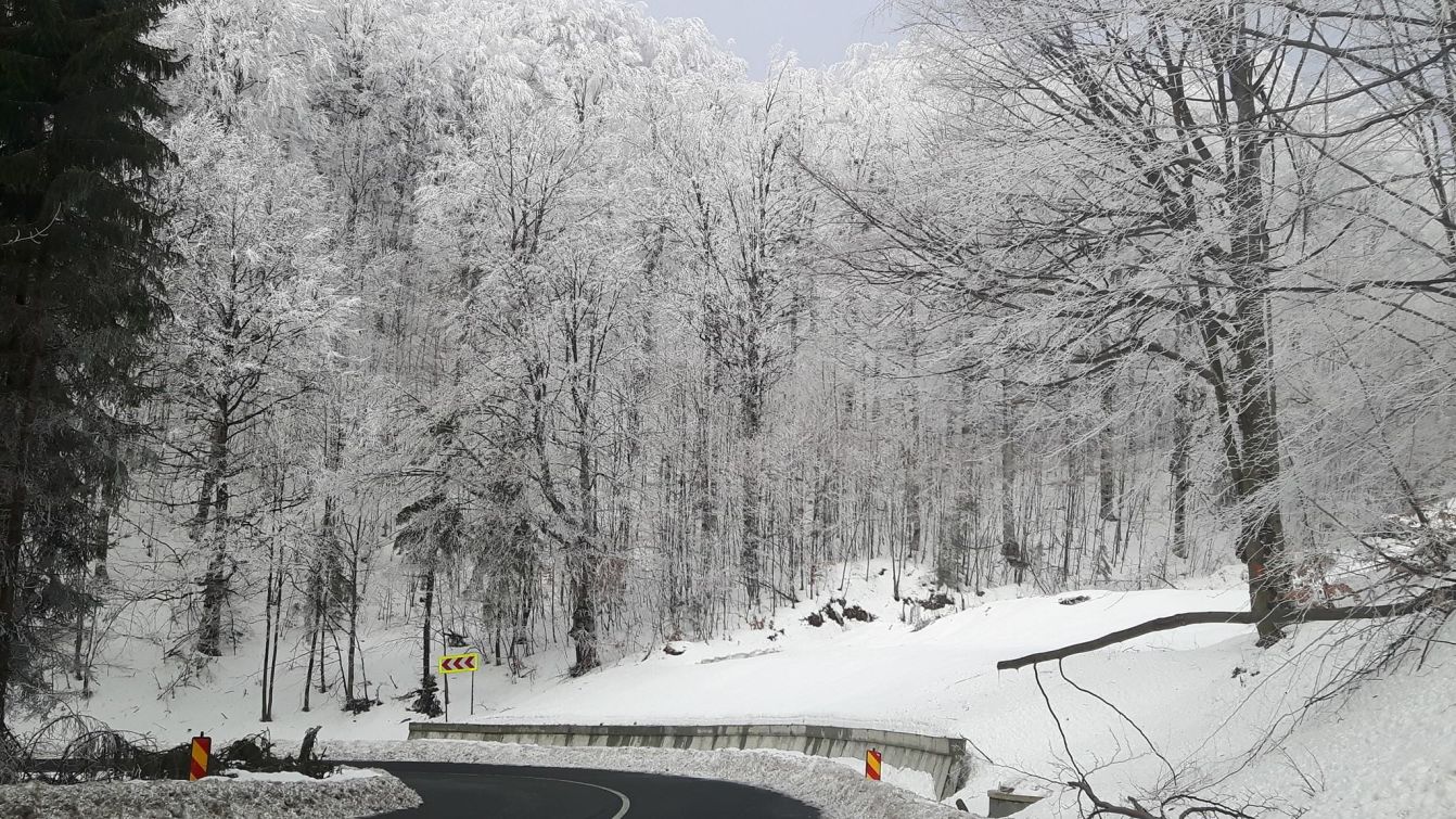 Strat de zăpadă de 20 de centimetri în Maramureş. Cum se circulă pe drumurile din judeţ