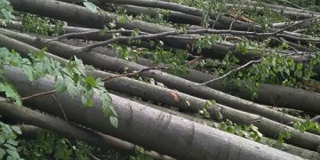 Furtuna a făcut ravagii într-un loc mai puțin știut din Baia Mare – FOTO