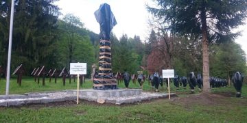Crucile eroilor români din cimitirul Valea Uzului, acoperite cu saci de gunoi. Cum a fost posibil