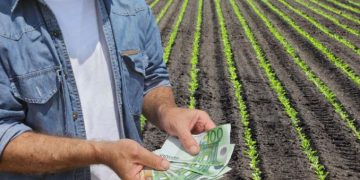 APIA: Maramureşul, în topul judeţelor cu cele mai multe Cereri Unice de Plată depuse în campania 2019