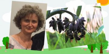 “Apiterapie altfel”: PERFORMANȚĂ ȘI DINAMISM PRIN HRANA  ALBINELOR