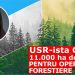 Politicienii vând pădurile României. Politicienii USR