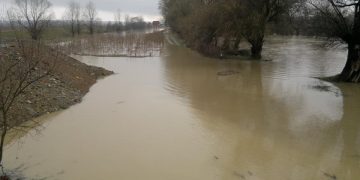 Cod portocaliu în Maramureș