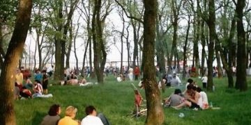 Atenție maramureșeni! Parcuri invadate de căpușe