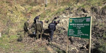 Schimbare majoră pentru angajații Romsilva. Ce se întâmplă de la 1 Iulie