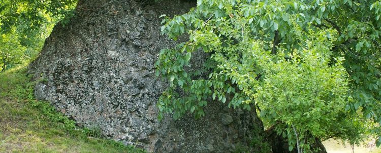 Locuri de poveste ale României. Clăile de piatră din Maramureş