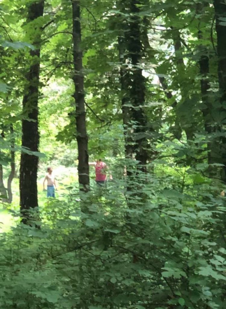 Au tăiat cu drujba un arbore din Parcul Dendrologic după care au aprins focul pentru grătare – VIDEO