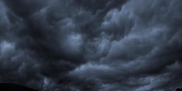 COD ROȘU ÎN MARAMUREȘ