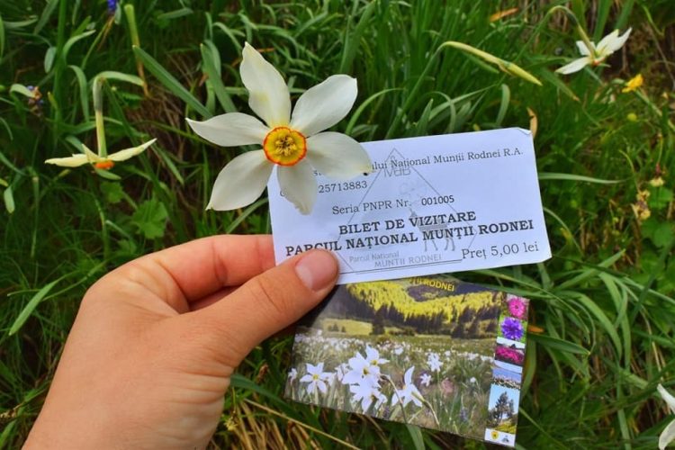 Plata biletului de vizitare a Parcului Naţional Munţii Rodnei se poate efectua şi prin SMS. Află cum