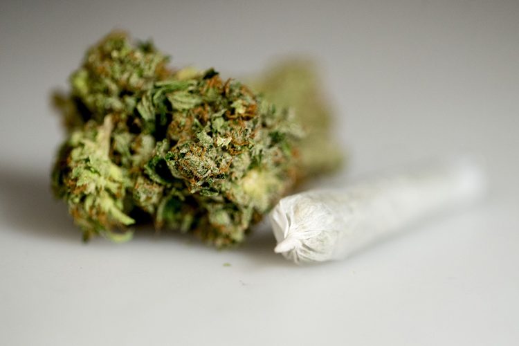 În loc de Neversea, patru tineri au ajuns în arest. Aveau 10 kg de cannabis în bagaje