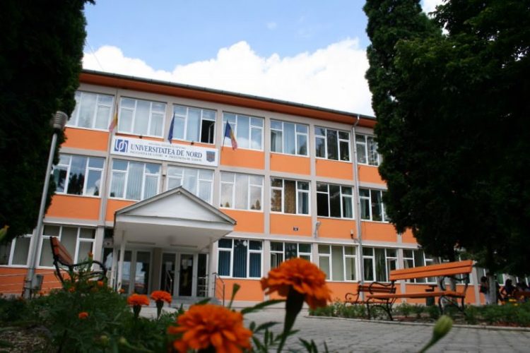 Începe admiterea la Facultatea de Litere