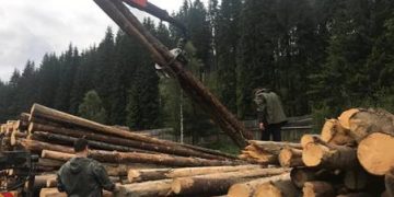 Acţiune de amploare a poliţiştilor maramureşeni pentru prinderea hoţilor de lemne! – foto