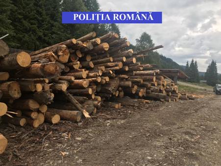 Acţiune de amploare a poliţiştilor maramureşeni pentru prinderea hoţilor de lemne! – foto