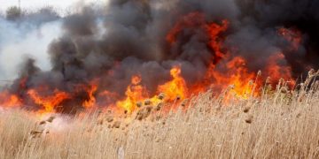 Alertă MAE pentru românii care sunt în Grecia sau vor să călătorească în această ţară. Risc ridicat de incendii în Rhodos