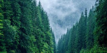 Harta Parcurilor Naționale și Naturale administrate de Romsilva, publicată pe pagina de Internet a Regiei