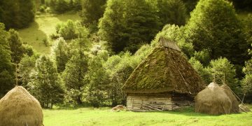 Povestea fârciturii din Țara Lăpușului