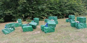 Peste 20.000 pachete cu țigări de contrabandă, confiscate la frontiera de nord