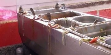 Shaorma presată cu picioarele și carne cu fire de păr