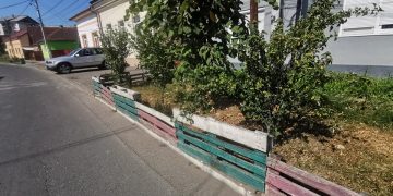Noaptea minţii. Sigheteancă amendată pentru că a protejat spaţiul verde