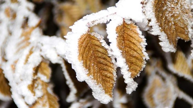 Răcire dramatică începând de marţi în Maramureş