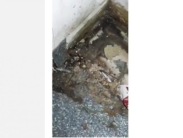 Imagini șocante filmate într-un mall din Cluj. Colonii de gândaci în zona restaurantelor – foto, video