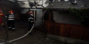 A vrut să-şi omoare fratele şi a dat foc la casă, dar l-au oprit poliţiştii