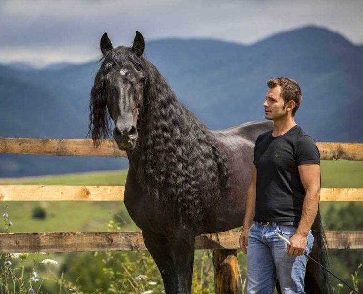 Cel mai talentat îmblânzitor de cai din lume e maramureșean