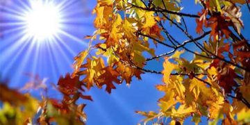 Vine vara în plină toamnă: Meteorologii au anunțat temperaturi record