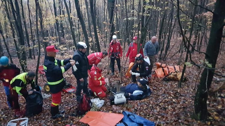 La un pas de tragedie din cauza ciupercilor – FOTO