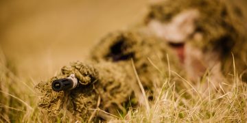 S-a modificat regimul armelor și munițiilor!