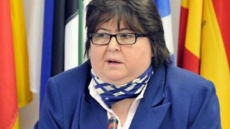 Alina Mungiu-Pippidi o susţine pe Viorica Dăncilă: Cei care îi critică gafele sunt nişte mizerabili