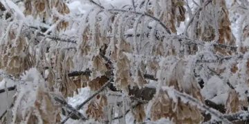 Prognoza meteo de Sfântul Andrei şi 1 Decembrie