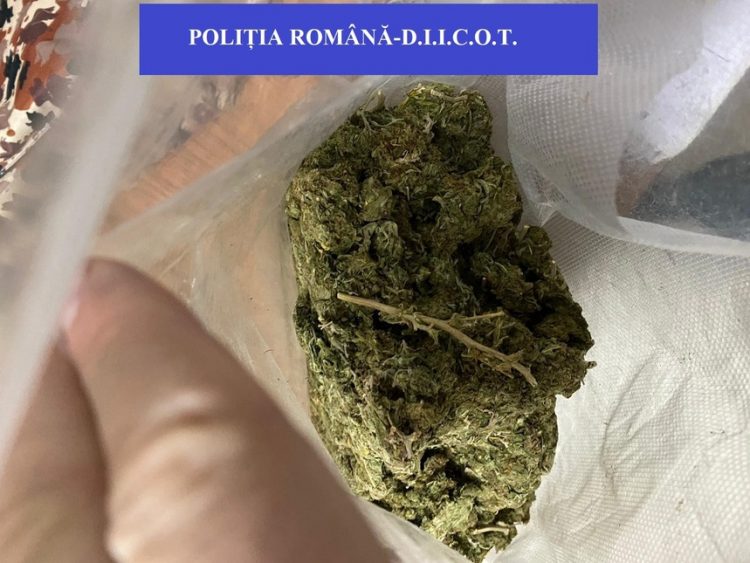 Doi tineri, arestaţi preventiv după ce au fost prinşi cu aproape un kilogram de cannabis