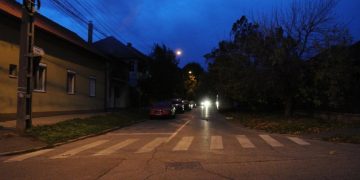 Căprioară ajuns pe străzi, salvată de jandarmi