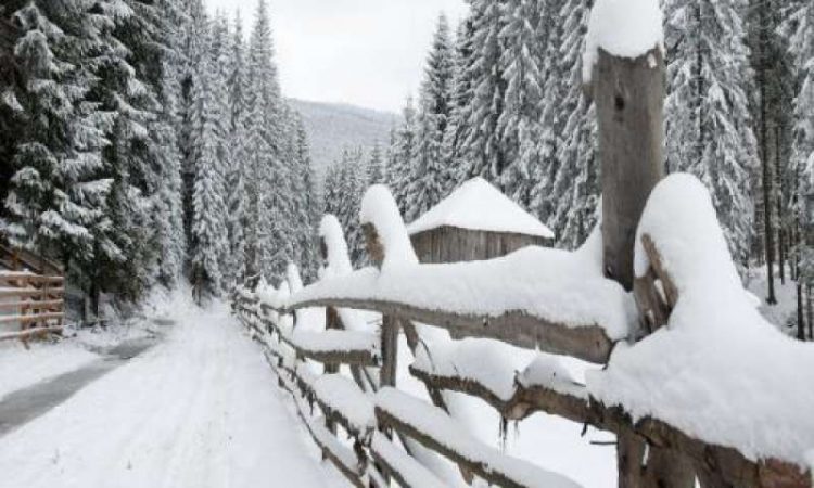 Escrocherie elucidată de polițiștii maramureșeni