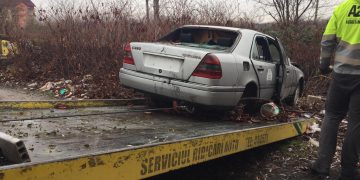 Zeci de rable ridicate de pe domeniul public al municipiului Baia Mare