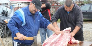 Examene trichineloscopice în perioada premergătoare sărbătorilor de iarnă