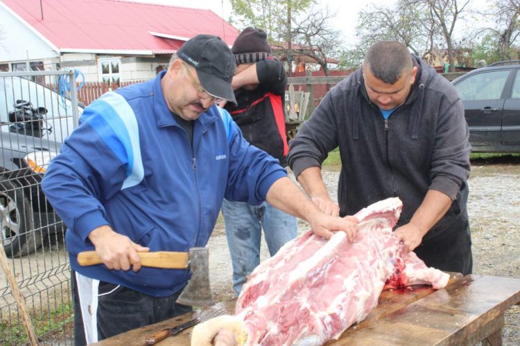 Examene trichineloscopice în perioada premergătoare sărbătorilor de iarnă