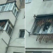 Decoraţiuni de sezon: balconul împodobit cu cârnaţi