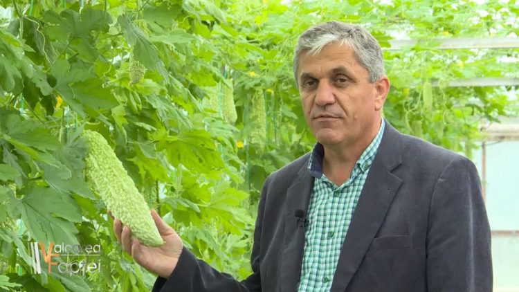 Cercetătorul Costel Vânătoru, îndepărtat fără notificare de la şefia Băncii de Gene