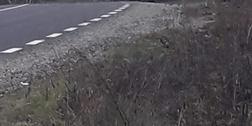 Accident la Cernești. A intrat cu Mercedesul în gardul unei case – FOTO