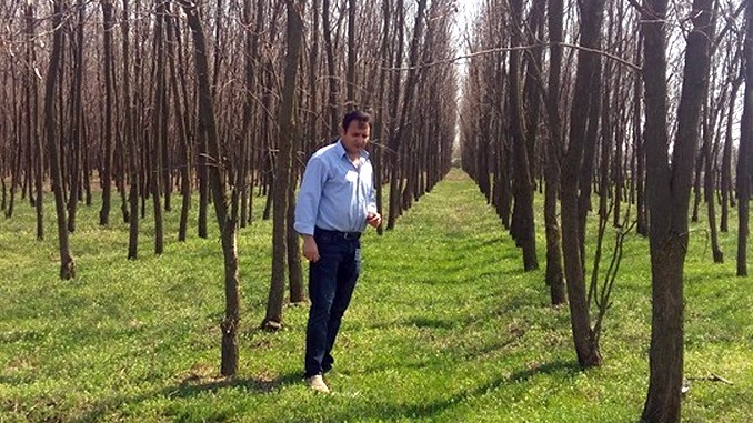 Fermier amendat de Garda de Mediu după ce a plantat 40.000 de copaci