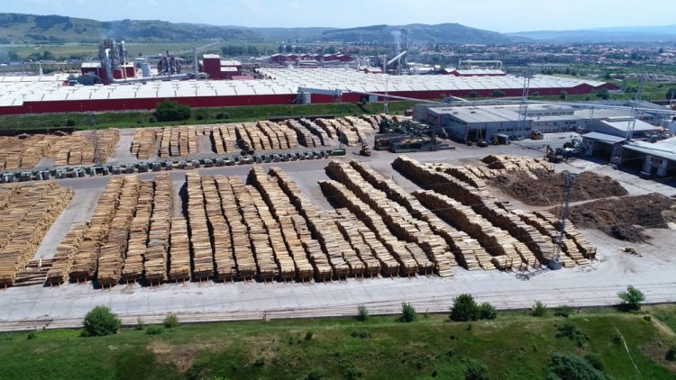 Filiera Schweighofer blocată în port