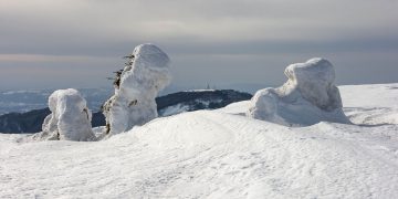 Drumeție de iarnă pe Munții Gutâi